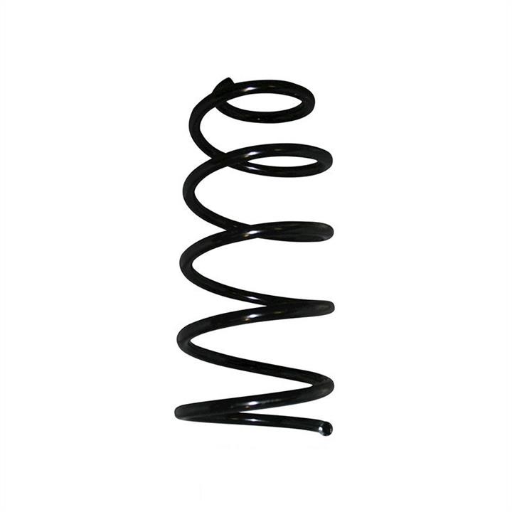 Jp Group 1142202400 Suspension spring front 1142202400