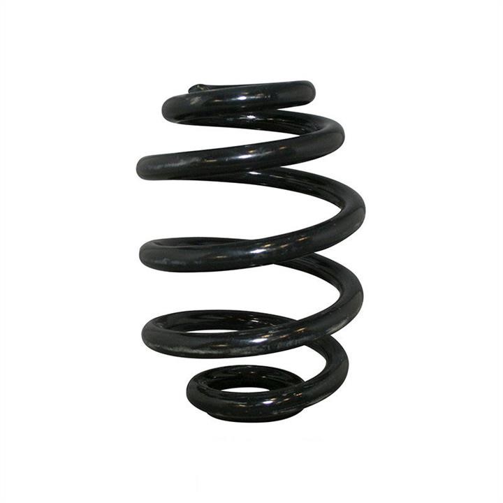 Jp Group 1152202100 Rear coil spring 1152202100 1152202100 Jp Group Rear coil spring