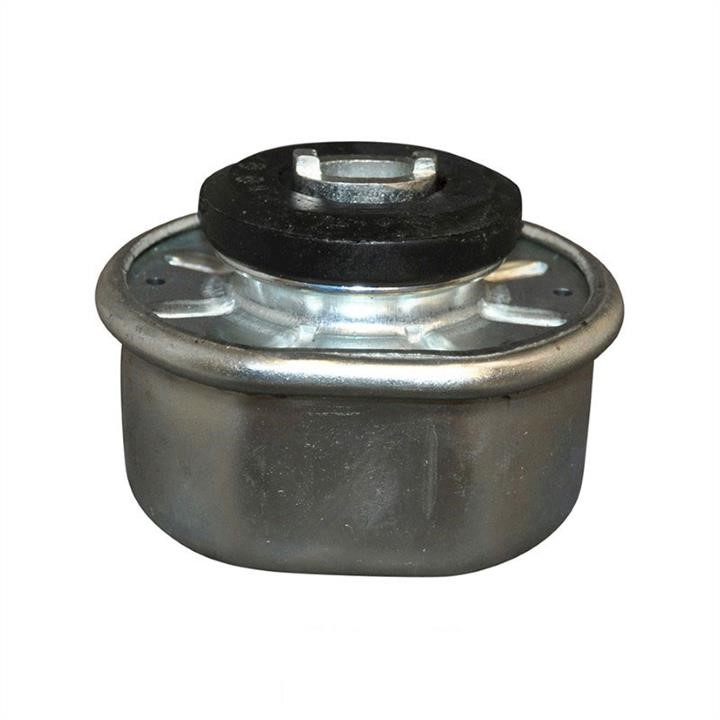 engine-mounting-right-1117904700-10373423