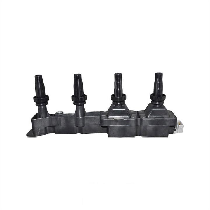 Jp Group 4191600500 Ignition coil 4191600500