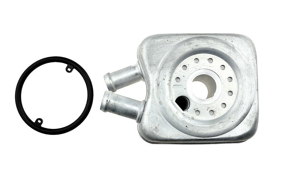 Buy NTY CCL-AU-000 at a low price in United Arab Emirates!
