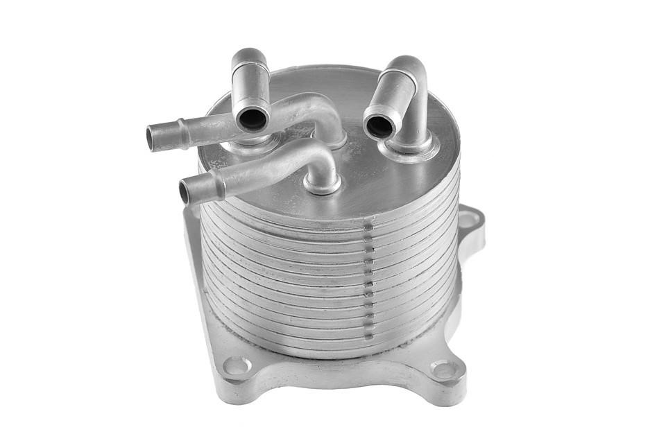 Buy NTY CCL-CH-001 at a low price in United Arab Emirates!