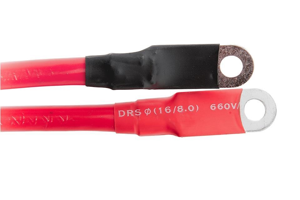 Buy NTY EBP-BM-008 at a low price in United Arab Emirates!