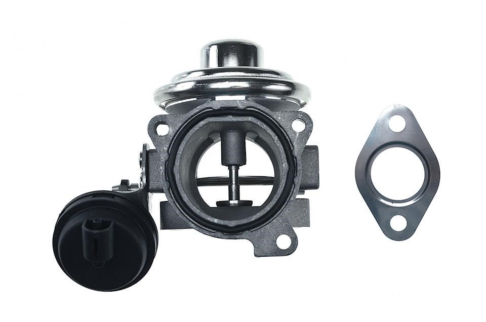 Exhaust gas recirculation valve NTY EGR-AU-000