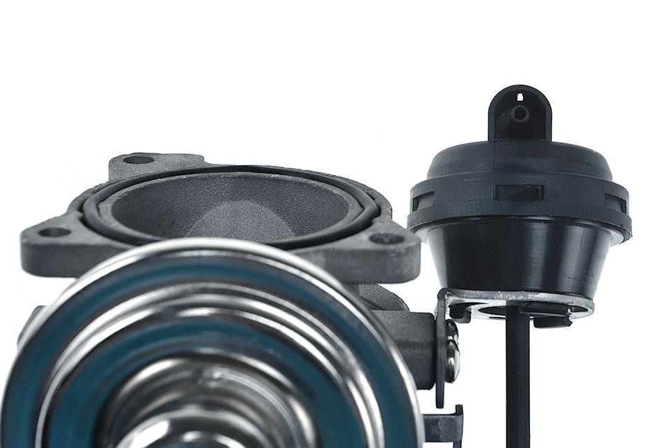 Buy NTY EGR-AU-000 at a low price in United Arab Emirates!
