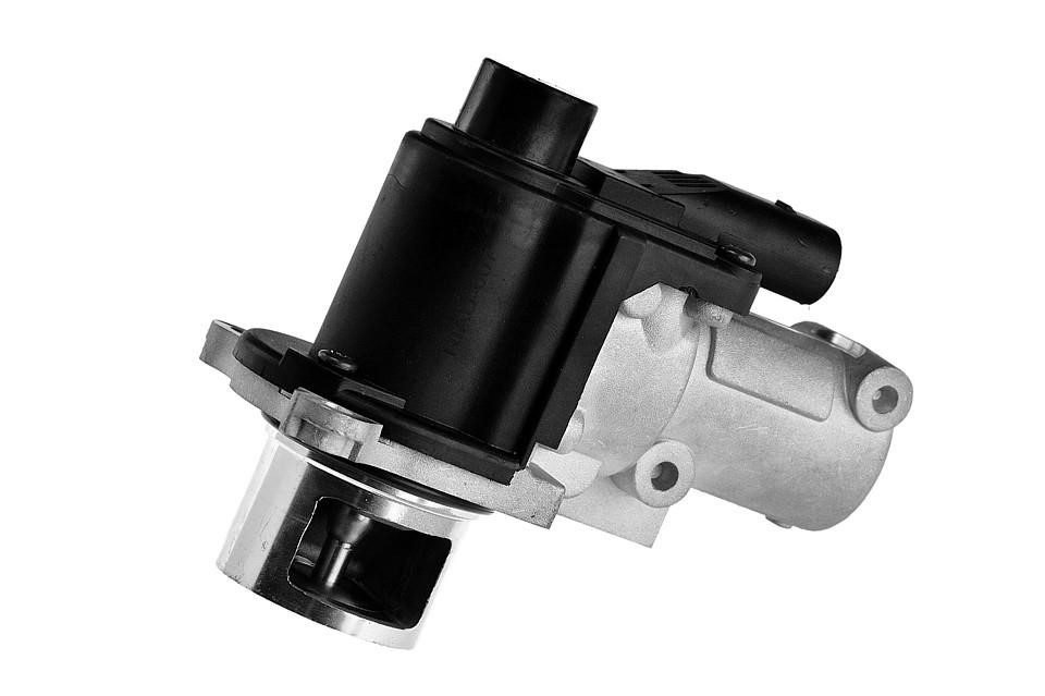 Exhaust gas recirculation valve NTY EGR-AU-007