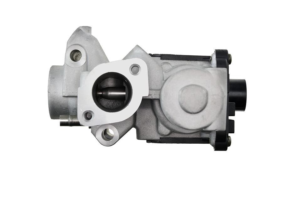 Buy NTY EGR-AU-018 at a low price in United Arab Emirates!