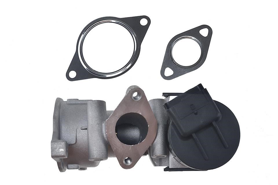 Buy NTY EGR-CT-002 at a low price in United Arab Emirates!