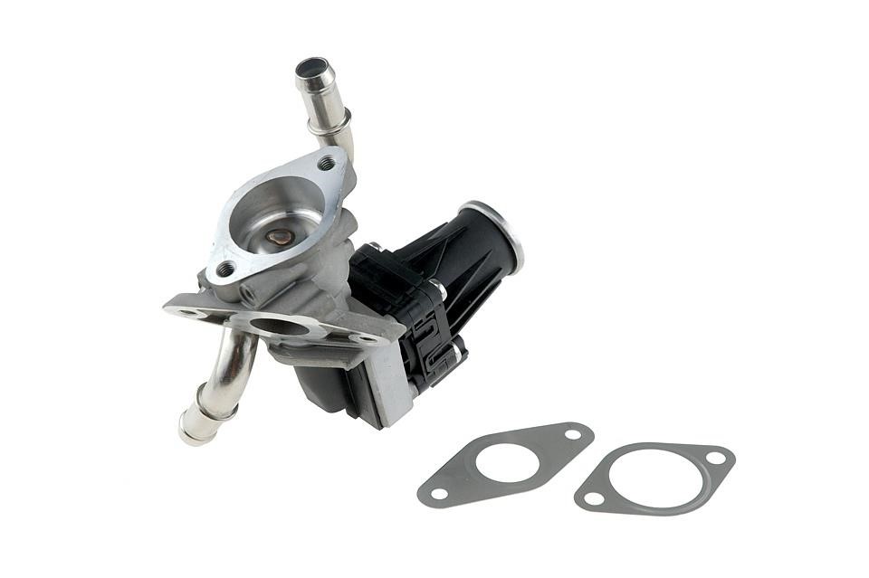 Exhaust gas recirculation valve NTY EGR-FR-007