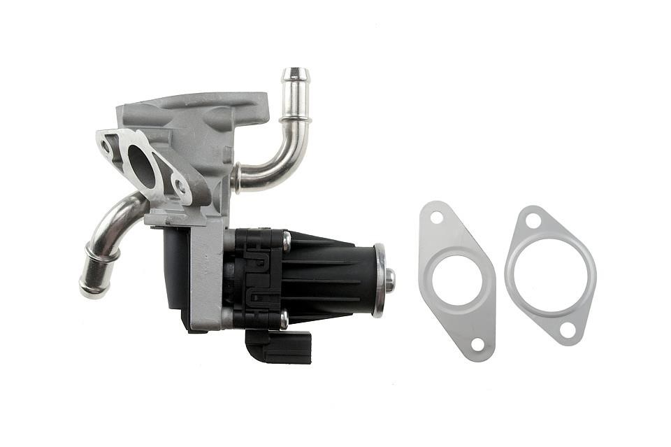 Buy NTY EGR-FR-007 at a low price in United Arab Emirates!