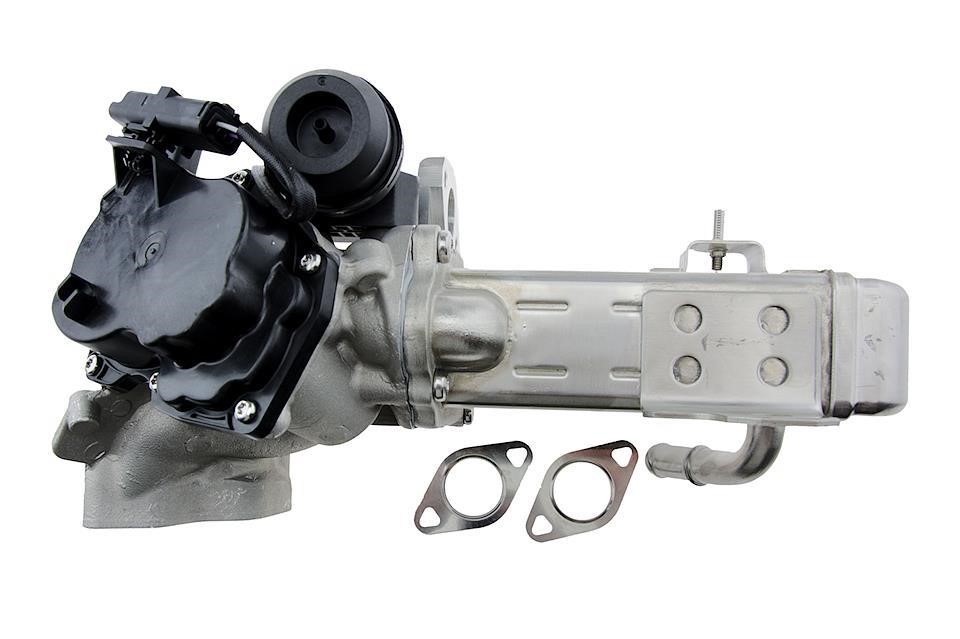 Buy NTY EGR-FR-009 at a low price in United Arab Emirates!