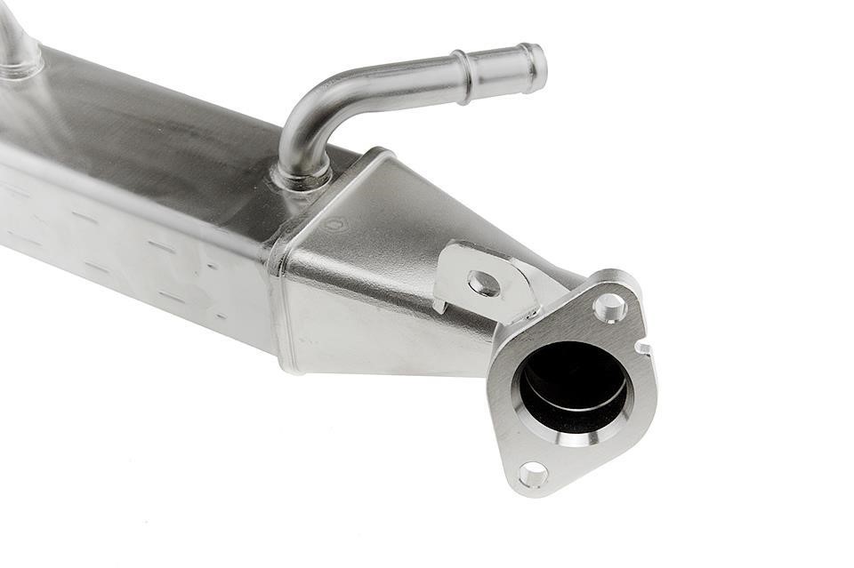 Buy NTY EGR-FR-024A at a low price in United Arab Emirates!