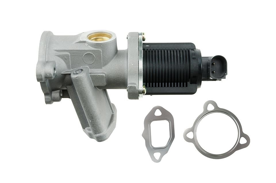 Buy NTY EGR-FT-000 at a low price in United Arab Emirates!