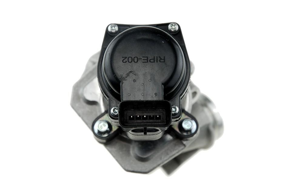 Buy NTY EGR-PE-002 at a low price in United Arab Emirates!