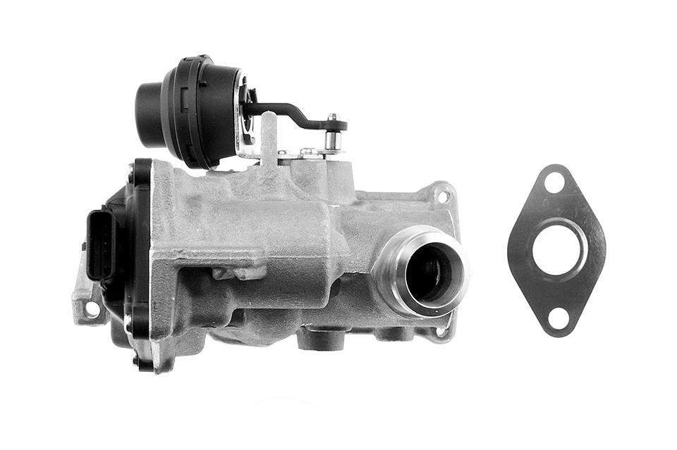 Buy NTY EGR-SU-003 at a low price in United Arab Emirates!