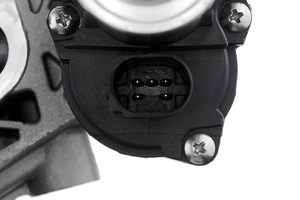 Buy NTY EGR-VW-019 at a low price in United Arab Emirates!