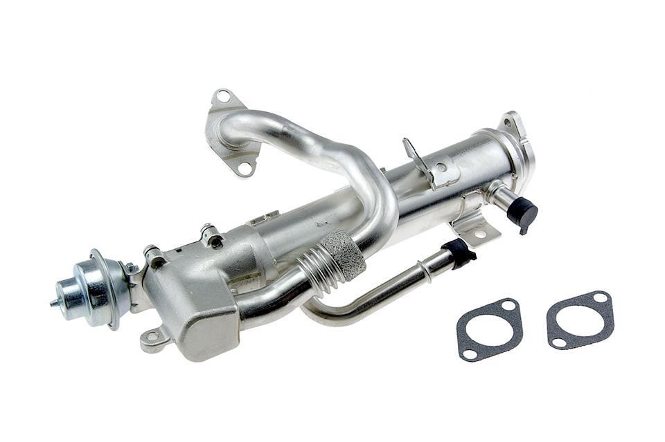 Buy NTY EGR-VW-021A at a low price in United Arab Emirates!