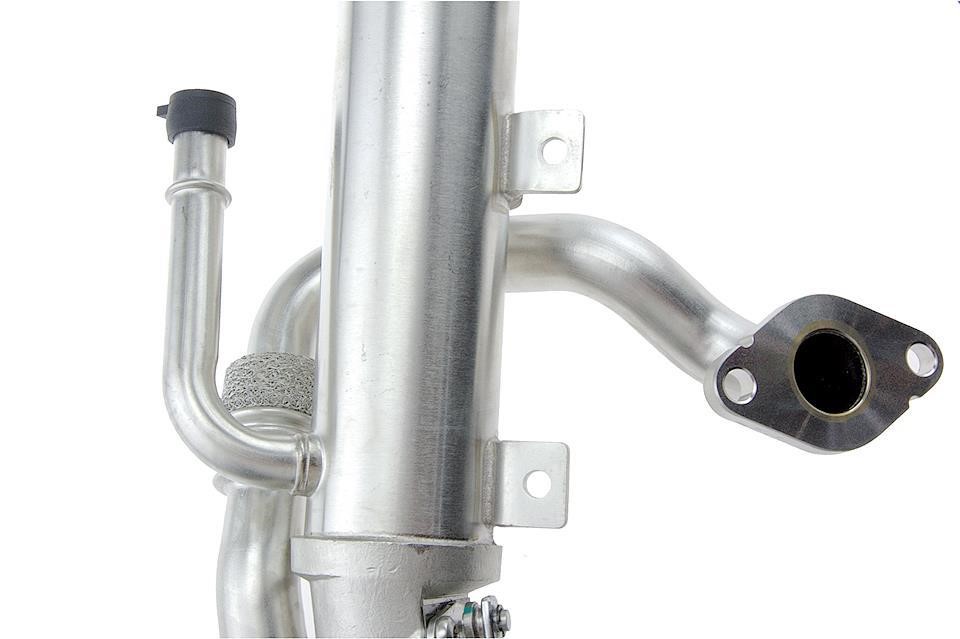 Buy NTY EGR-VW-021A at a low price in United Arab Emirates!
