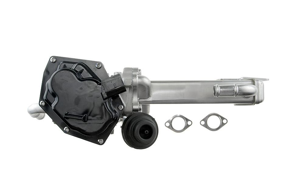 Buy NTY EGR-VW-022 at a low price in United Arab Emirates!