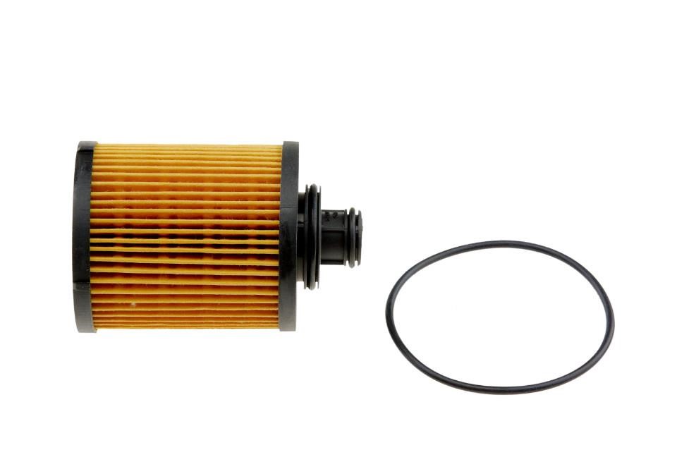 Oil Filter WinFil FOF-FT-001