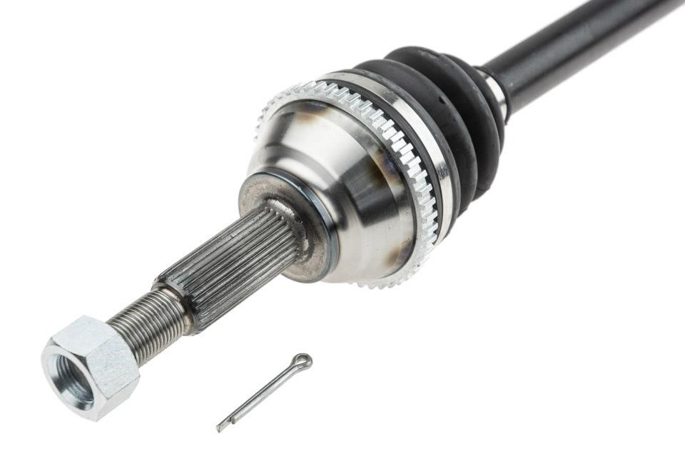 Buy NTY NPW-FR-031 at a low price in United Arab Emirates!