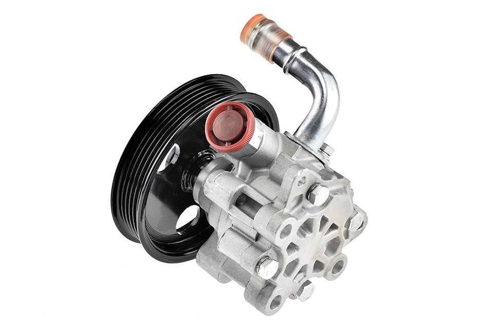 Hydraulic Pump, steering system NTY SPW-CH-001