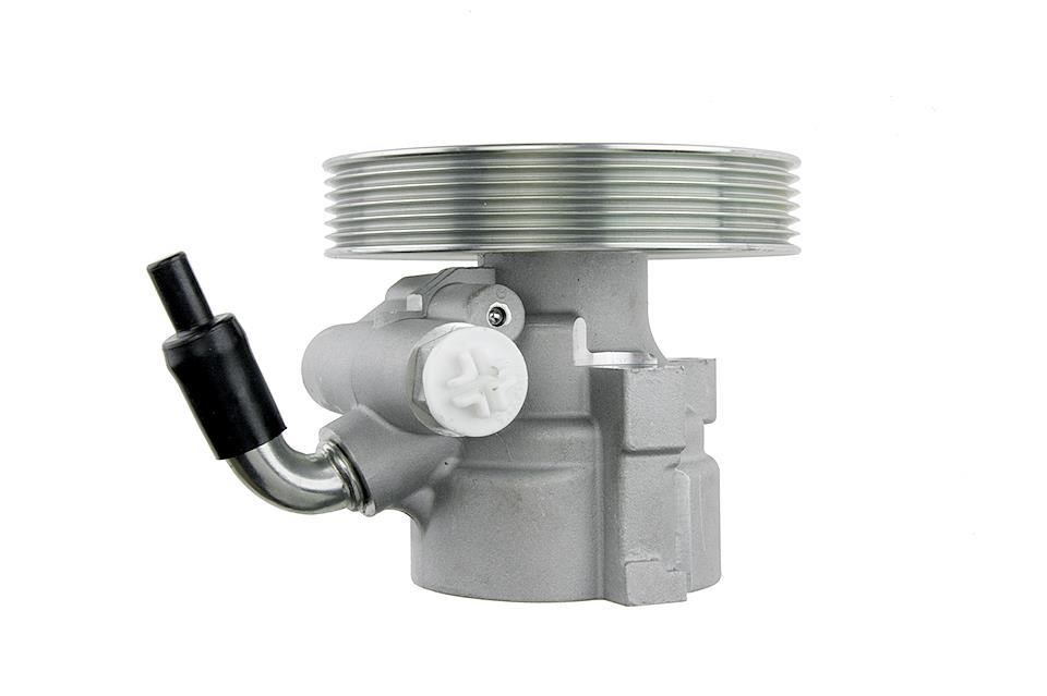 Hydraulic Pump, steering system NTY SPW-CT-001