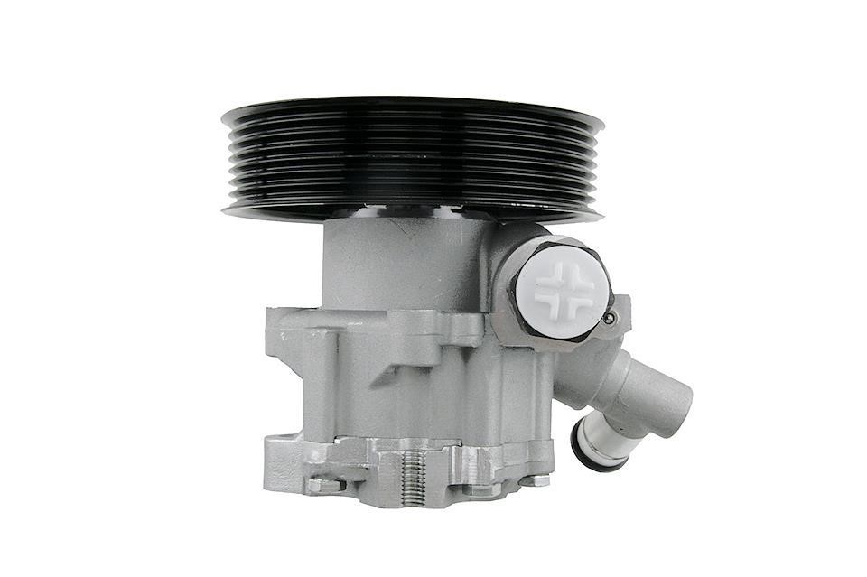 Hydraulic Pump, steering system NTY SPW-ME-013