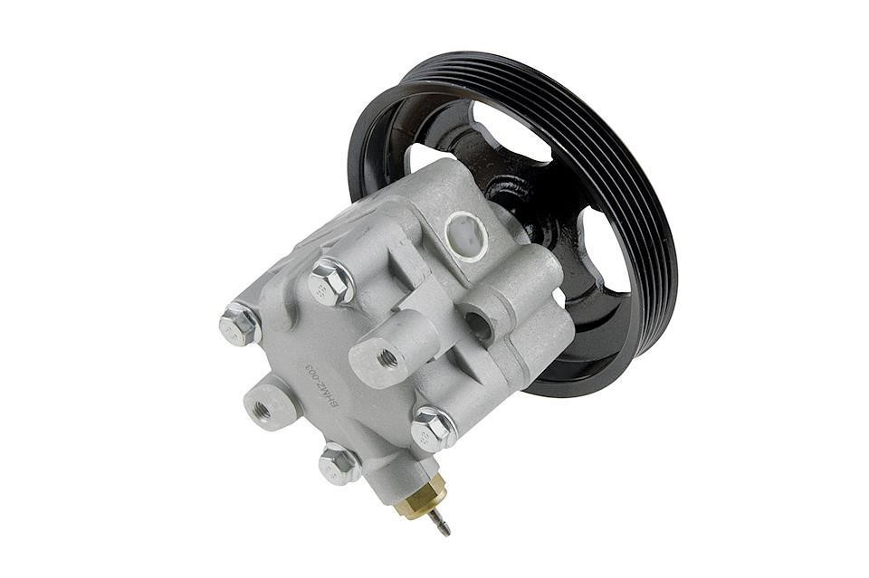Hydraulic Pump, steering system NTY SPW-MZ-003