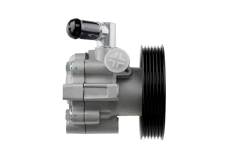 Hydraulic Pump, steering system NTY SPW-PL-005