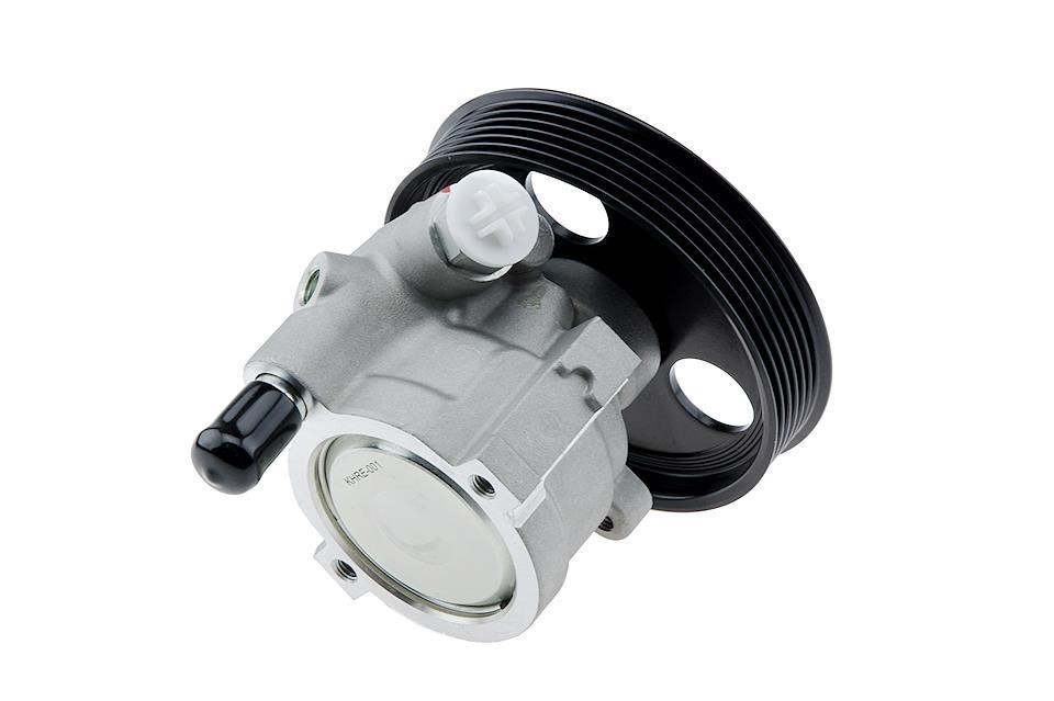 Hydraulic Pump, steering system NTY SPW-RE-001