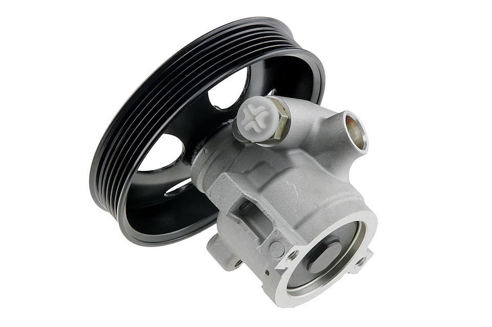 Hydraulic Pump, steering system NTY SPW-VV-005