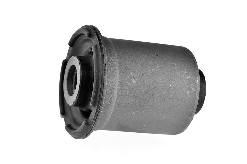 Car suspension parts Dodge Ram 1500 Pickup (DJ, DS): ZTTCH020A NTY Silent block