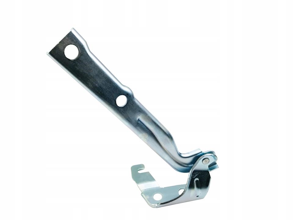 HINGE VAG 5N0 823 301 A