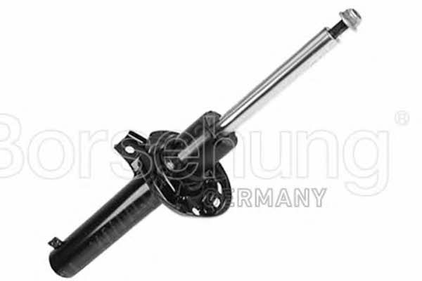 Borsehung B12132 Front oil and gas suspension shock absorber B12132
