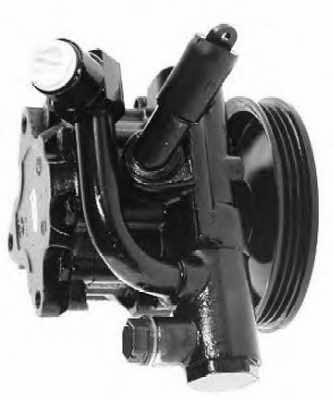 Lizarte 04.11.0294 Hydraulic Pump, steering system 04110294