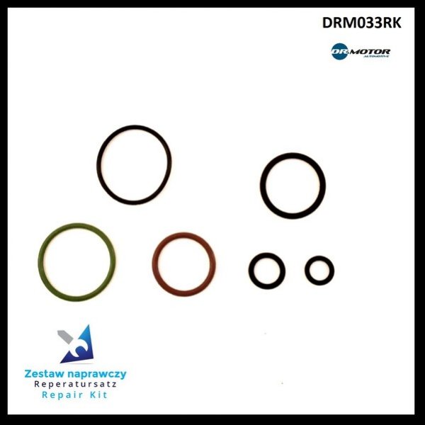 Dr.Motor DRM033RK Fuel injector repair kit DRM033RK