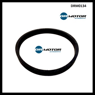 Intake manifold gasket Dr.Motor DRM0134