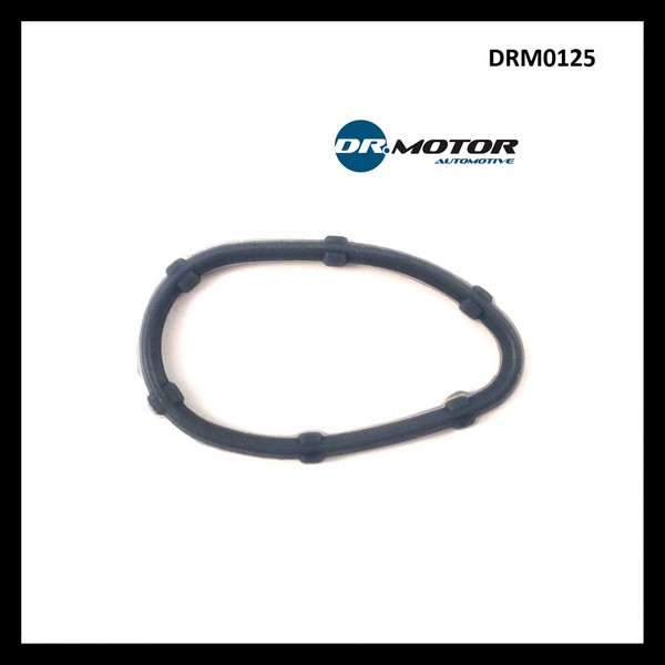 Dr.Motor DRM0125 Gasket, intake manifold DRM0125