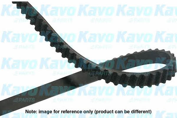 Buy Kavo parts DTB-6525 at a low price in United Arab Emirates!