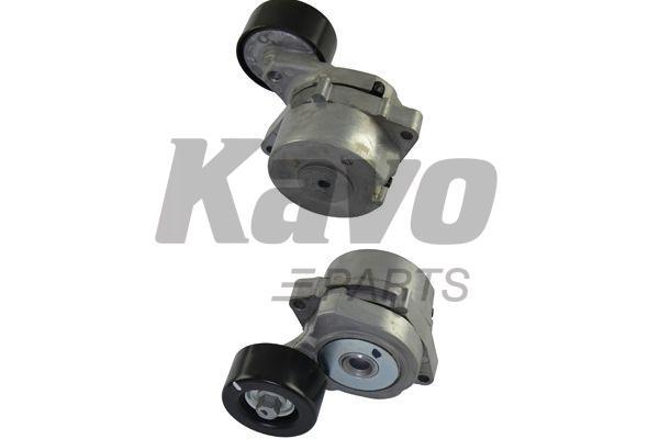 Buy Kavo parts DTP-2003 at a low price in United Arab Emirates!