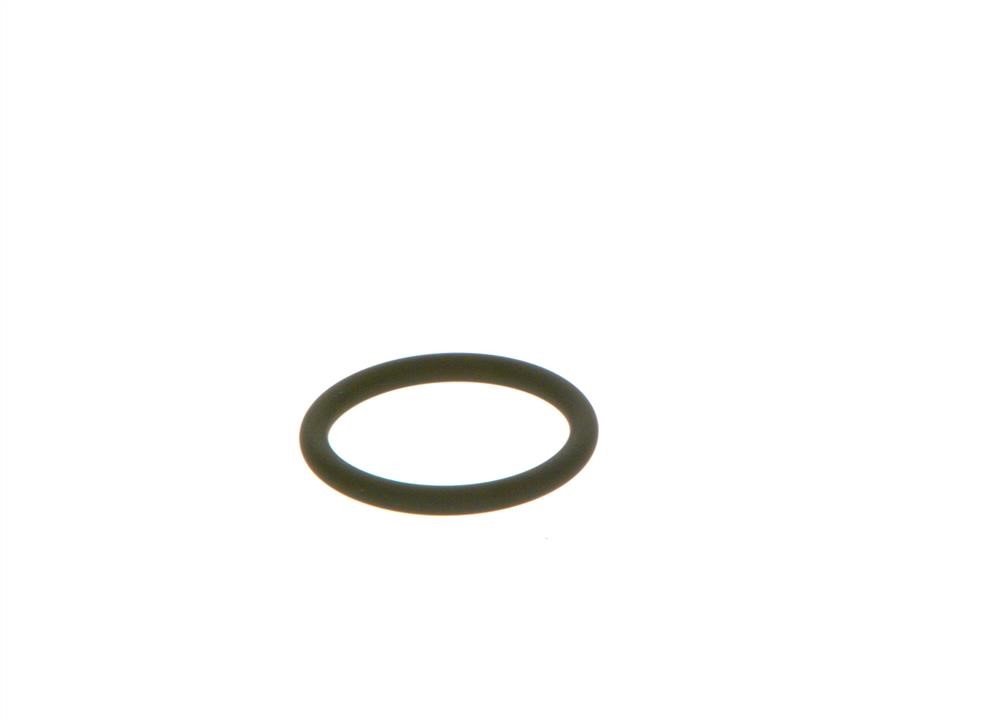 Adjustment Ring, differential Bosch F 00R J00 534