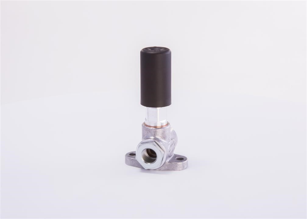 Fuel pump Bosch 0 440 011 007