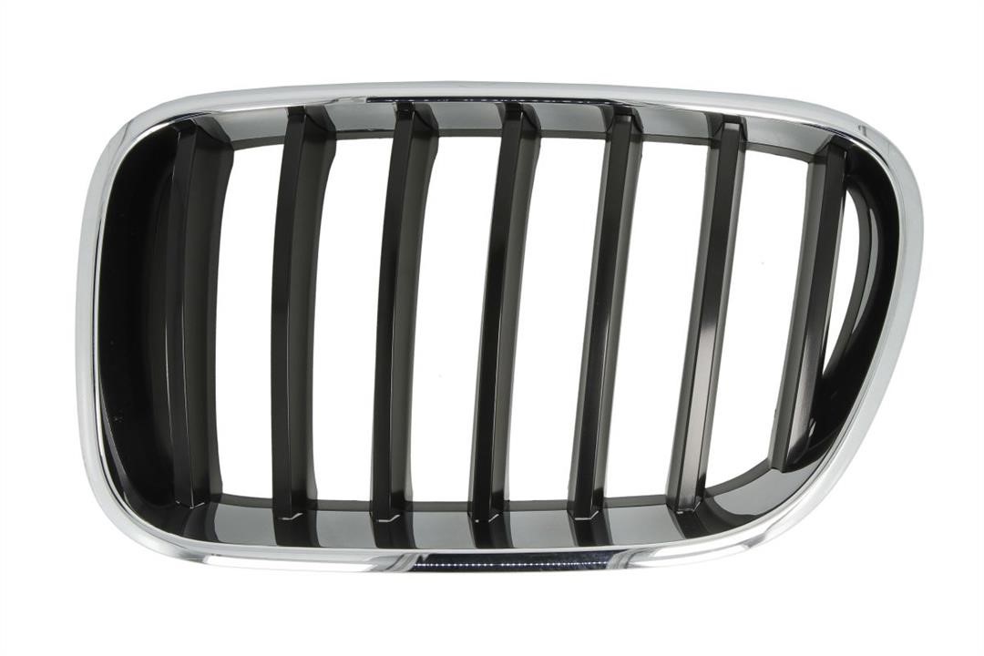 Bumper mesh BMW X3: 65020700939970P Blic Grille radiator
