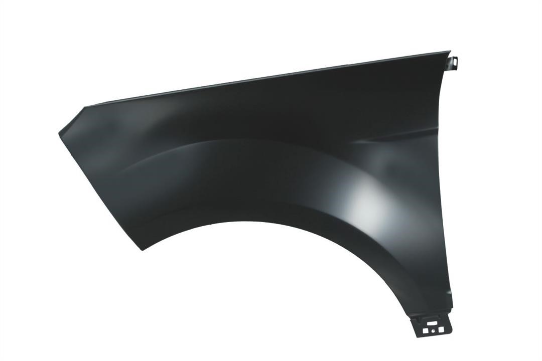 Front wing panel Ford: 6504042588311P Blic Front fender