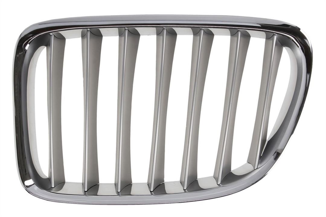 Radiator grill BMW X1: 6502070092993P Blic Grille radiator