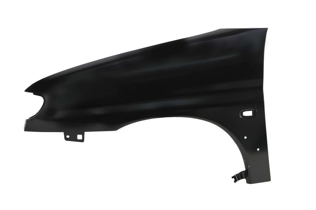 Front wing fender Citroen Berlingo: 6504040550313Q Blic Front fender left