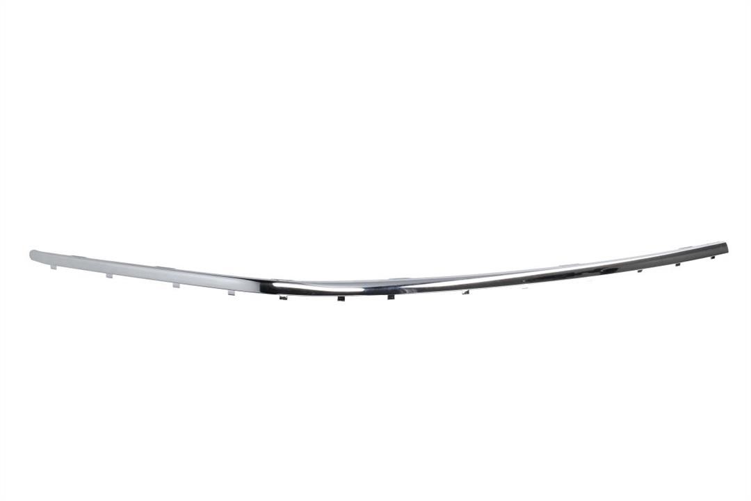 Bumper moulding BMW: 5703050076920PP Blic Trim bumper