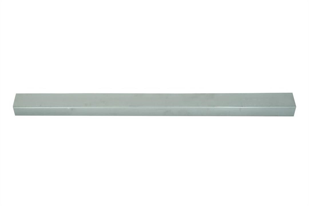 Thresholds Renault: 6505066043010P Blic Threshold