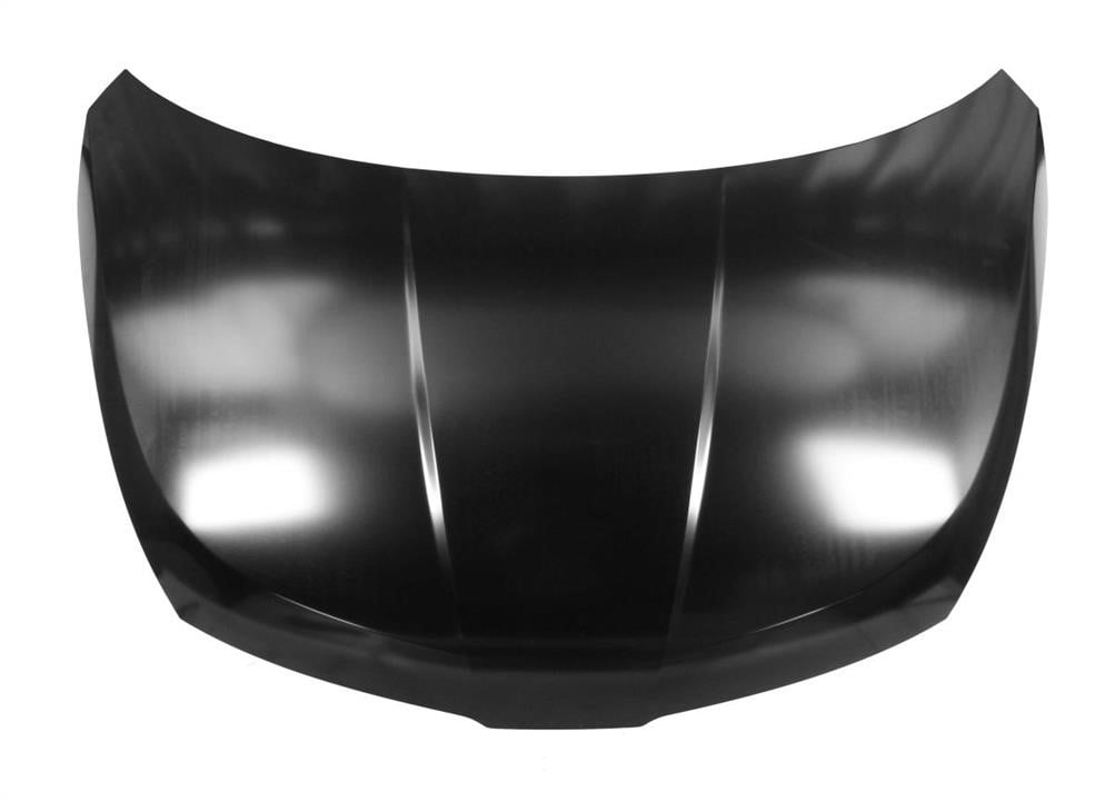 6803001636280P Blic Hood